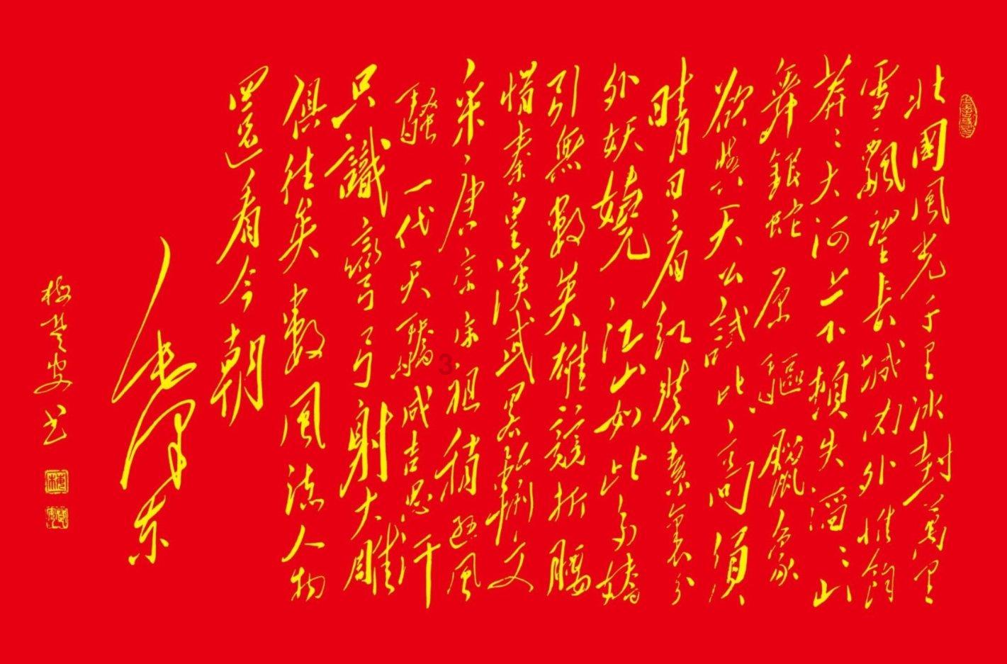 拯救受伤的猫